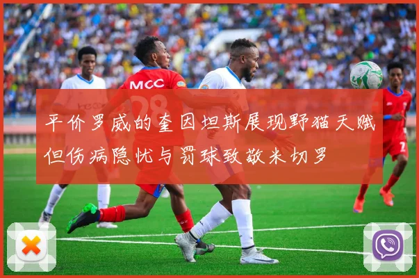 平价罗威的奎因坦斯展现野猫天赋但伤病隐忧与罚球致敬米切罗