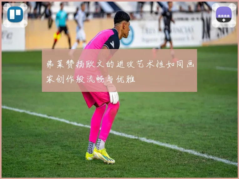 弗莱赞扬欧文的进攻艺术性如同画家创作般流畅与优雅
