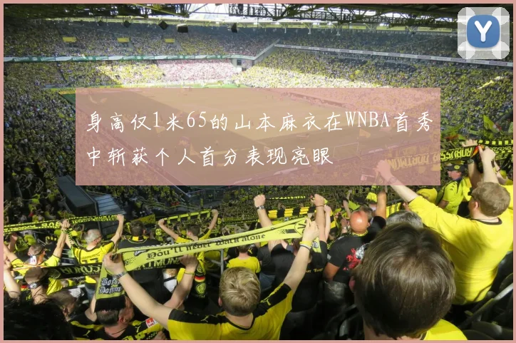 身高仅1米65的山本麻衣在WNBA首秀中斩获个人首分表现亮眼