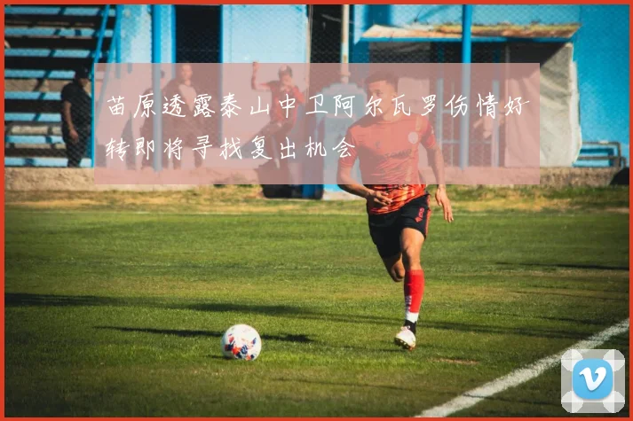 苗原透露泰山中卫阿尔瓦罗伤情好转即将寻找复出机会
