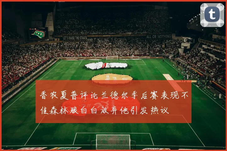香农夏普评论兰德尔季后赛表现不佳森林狼白白放弃他引发热议